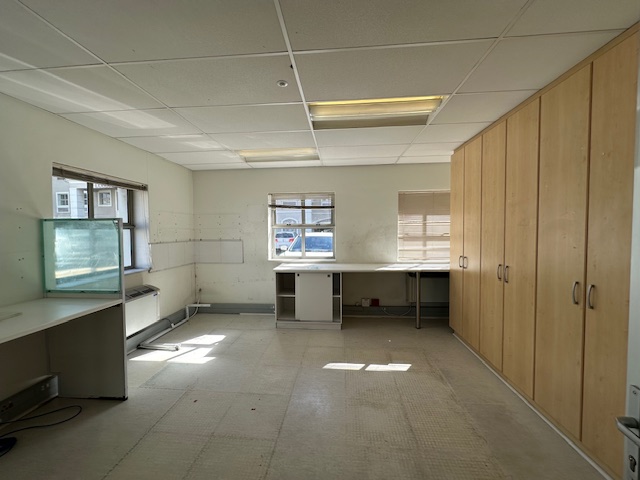 To Let commercial Property for Rent in Pinelands Western Cape
